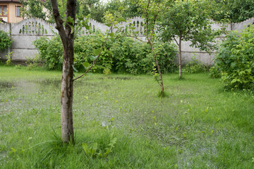 The garden and yard are flooded. Consequences of downpour, flood. Rainy summer, Ukraine