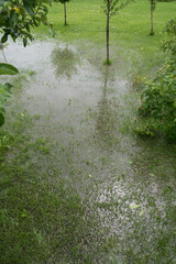 The garden and yard are flooded. Consequences of downpour, flood. Rainy summer, Ukraine