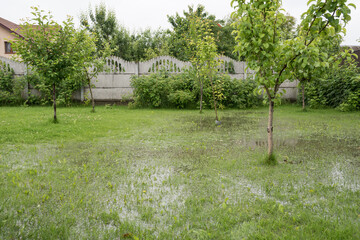 The garden and yard are flooded. Consequences of downpour, flood. Rainy summer, Ukraine.