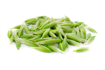 Green oats seeds isolated on a white background. Oat seeds isolated on a white background. Green oat grains isolated on a white background.