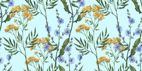 Hand drawn watercolor rural summer pattern with tansy and chicory blossom.