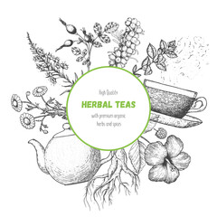 Herbal tea vector illustration. Menu label. Healthy food concept. Linear graphic.