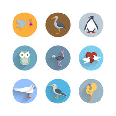 bird flat icon set with penguin, owl, ostrich, stork, cock and pigeons