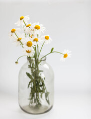 Beautiful bouquet of daisies in a glass vase on a white background