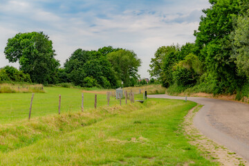 Rural road between farms with fences with wooden posts and barbed wire with trees and abundant vegetation with green foliage, cloudy day with a sky with white clouds in South Limburg, the Netherlands