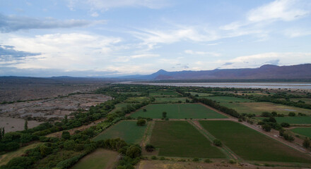 Agriculture. Rural landscape. Aerial view of the alfalfa cultivation fields in the mountain valley. 