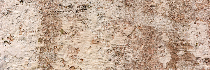 Texture of a concrete wall with cracks and scratches which can be used as a background