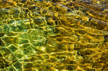 clear water under tropical sun