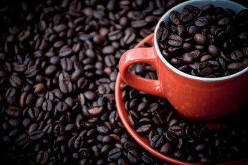 red coffee cup and dish filled with black coffee beans, with the same beans in the background