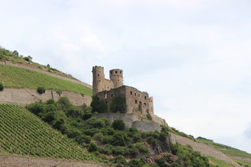 Fototapeta na wymiar Burg am Rhein