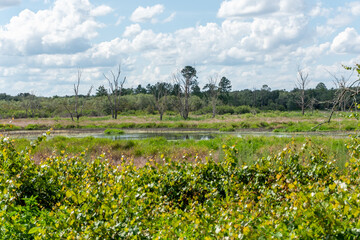 Goodson Prairie Florida