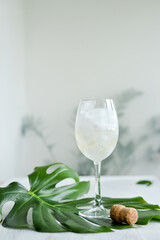 Sparkling wine with ice in glass standing on the green mostera leaf on the white table  and champagne bottle