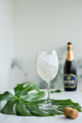 Sparkling wine with ice in glass standing on the green mostera leaf on the white table  and champagne bottle