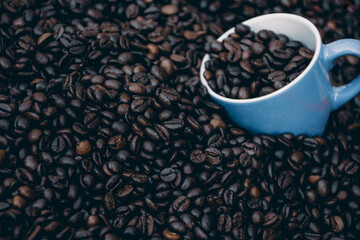 blue coffee cup filled with black coffee beans and surrounded by them