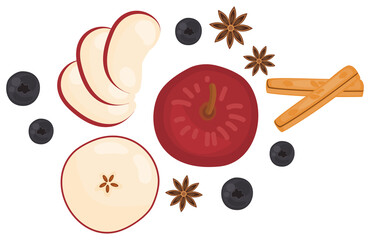 Top view fruit and herb, spice, ingredients, recipe illustration in theme of healthy food of winter and fall season.  Red apple, blueberry, cinnamon, star anise. Isolated on white background