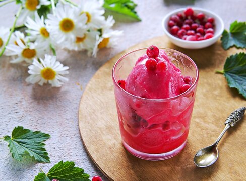 Summer dessert, fruit ice or frozen sorbet or granite from red currant puree and sugar syrup in a glass on a light concrete background. Frozen desserts.