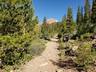 mountain landscape in the summer