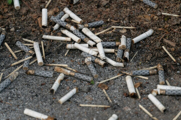 There are a lot of cigarette butts on the ground close up