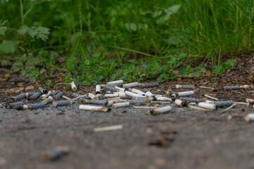 There are a lot of cigarette butts on the ground, copy space