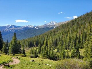 mountain landscape in summer
