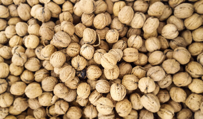 Many fresh walnuts ready to be sold