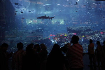 people in the hall of  Dubai mall looking giant aquarium