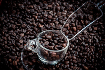 a glass spoon filling up a glass cup with coffee beans, surrounded by coffee beans