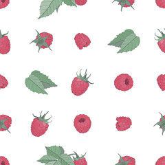 Vector seamless pattern berry concept. Colored fruits and raspberry leaves on a white background