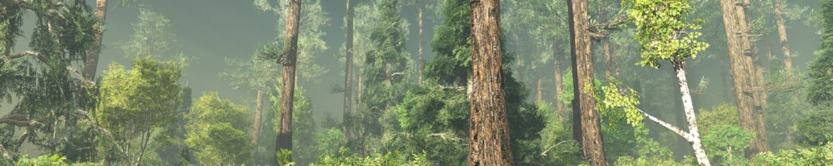 Forest in the morning in a fog in the sun, trees in a haze of light, glowing fog among the trees, 3D rendering