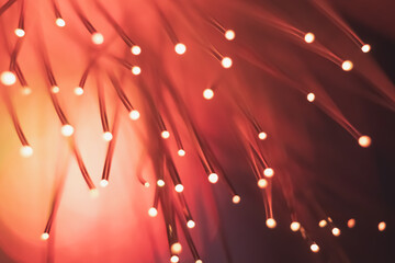 Abstract background. Fantastic fancy plants with colored branches with luminous dots at the ends....