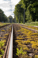 rails along the park and road