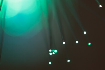 Abstract background. Fantastic fancy plants with colored branches with luminous dots at the ends....