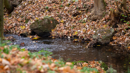autumn river with stone and moss