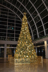 christmas tree in the night