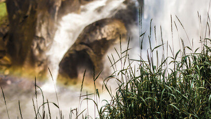 Green grass with a rainbow formed by the Vernal Fall along the Merced River in Yosemite National Park
