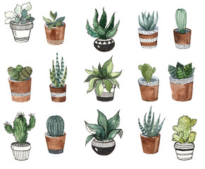 Watercolor set of cactus plants. Western illustration on the white background