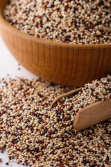 mix of quinoa grains on white acrylic background