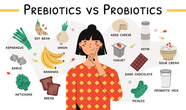 Flat vector illustration of a female thinking about differences between probiotics and prebiotics. Sources of these bacteria are flying around. Nutrient rich food. Soy bean, yogurt, asparagus, kefir