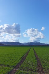 field with mountains