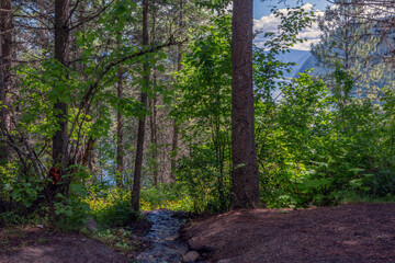 Farragut State Park