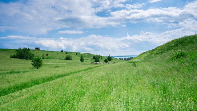 Landscape of the middle belt of Russia. Russian field.