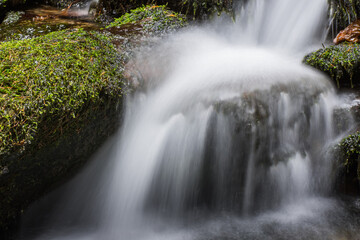 soft water and wet moss in a brook