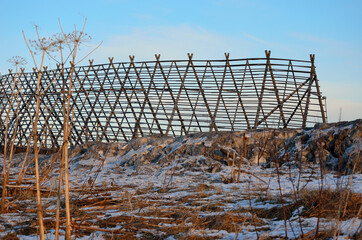 Stockfish rack, hjell, outdoors on a sunny winter day in northern Norway