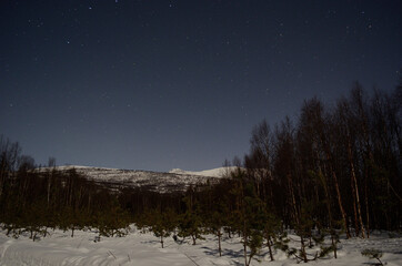 full mon lights up winter forest road with snowy mountain backdrop