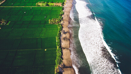 Top view aerial photo from flying drone of an amazing sea landscape with blue, calm waves in Malaysia. Beautiful scenery of Indian Ocean with green paddy fields planted along volcanic sand seashore