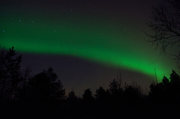 Fototapeta na wymiar strong vibrant and vivid aurora borealis over winter forest