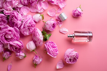  perfume bottle around may roses against pink background. beauty concept