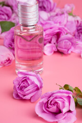 Fototapeta na wymiar perfume bottle around may roses against pink background