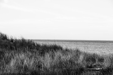 summer east coast dunes sunset © Kathleen