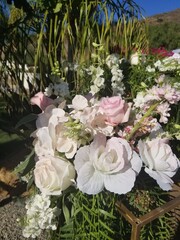 white flowers season nature special